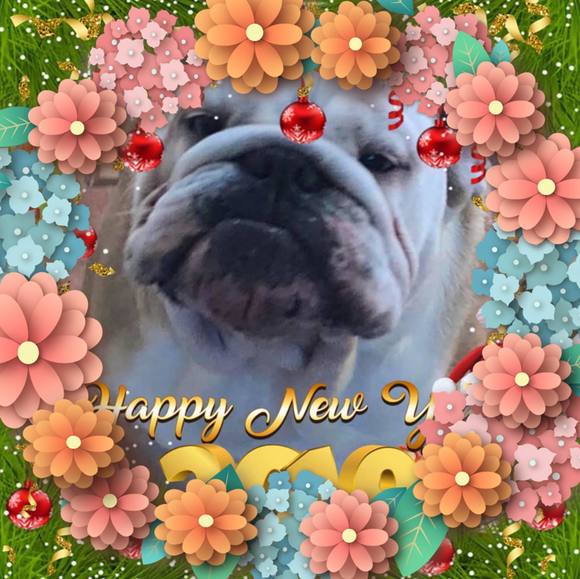 Meet your Posher, Eileen - Picture 1 of 1